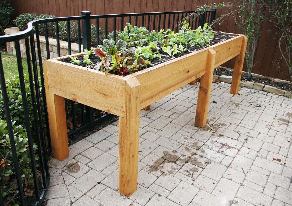 How Elevated Gardens Beds are Better for Your Back