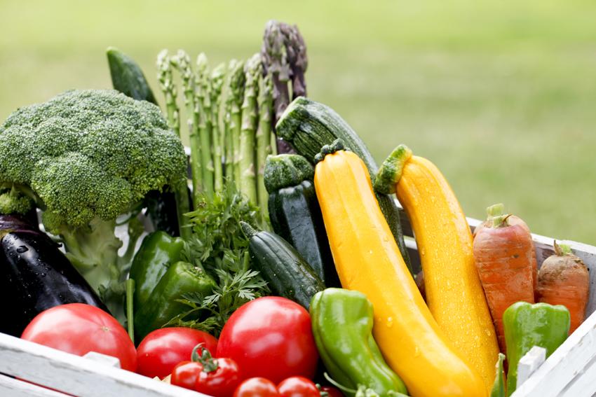 Relieving Back Pain with a Healthy Diet
