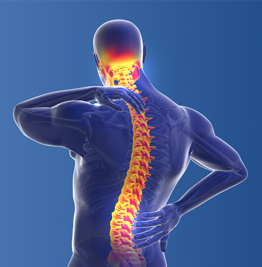 back pain neck pain treatment fort wayne